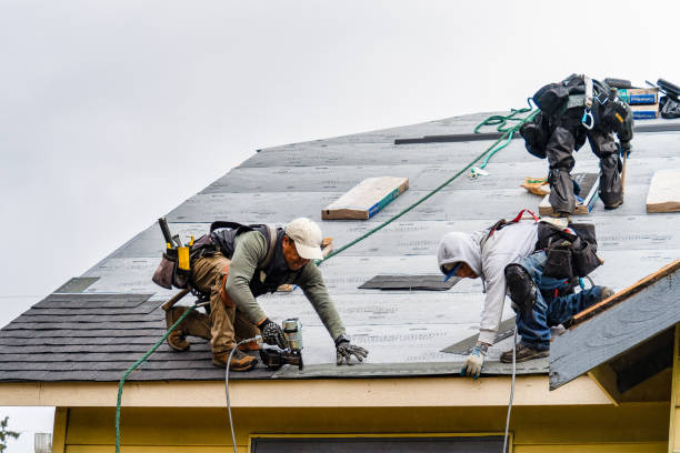 Professional Storm Damage Roof Repair technician working in Randall, IA